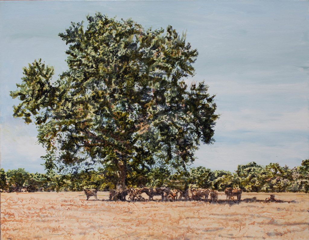 xavier-de-maisonneuve-©-atmospherique-le-bruit-du-silence-2022-A-l-ombre-d-un-seul-arbre-70-x-90-cm-huile-sur-toil