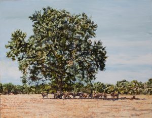 A l'ombre d'un seul arbre <br />2022, 70 x 90 cm, huile sur toile. Collection particulière